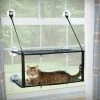 K&H Pet Products EZ Mount Double Stack Kitty Sill Cat Window Perch -Cat Products Store 100553 MAIN. AC SS1800 V1630736833