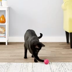 Pet Qwerks Babble Ball Kitten Toy With Catnip 11 Pet Qwerks Babble Ball Kitten Toy With Catnip -Cat Products Store 102237 PT3. AC SS1800 V1589901130