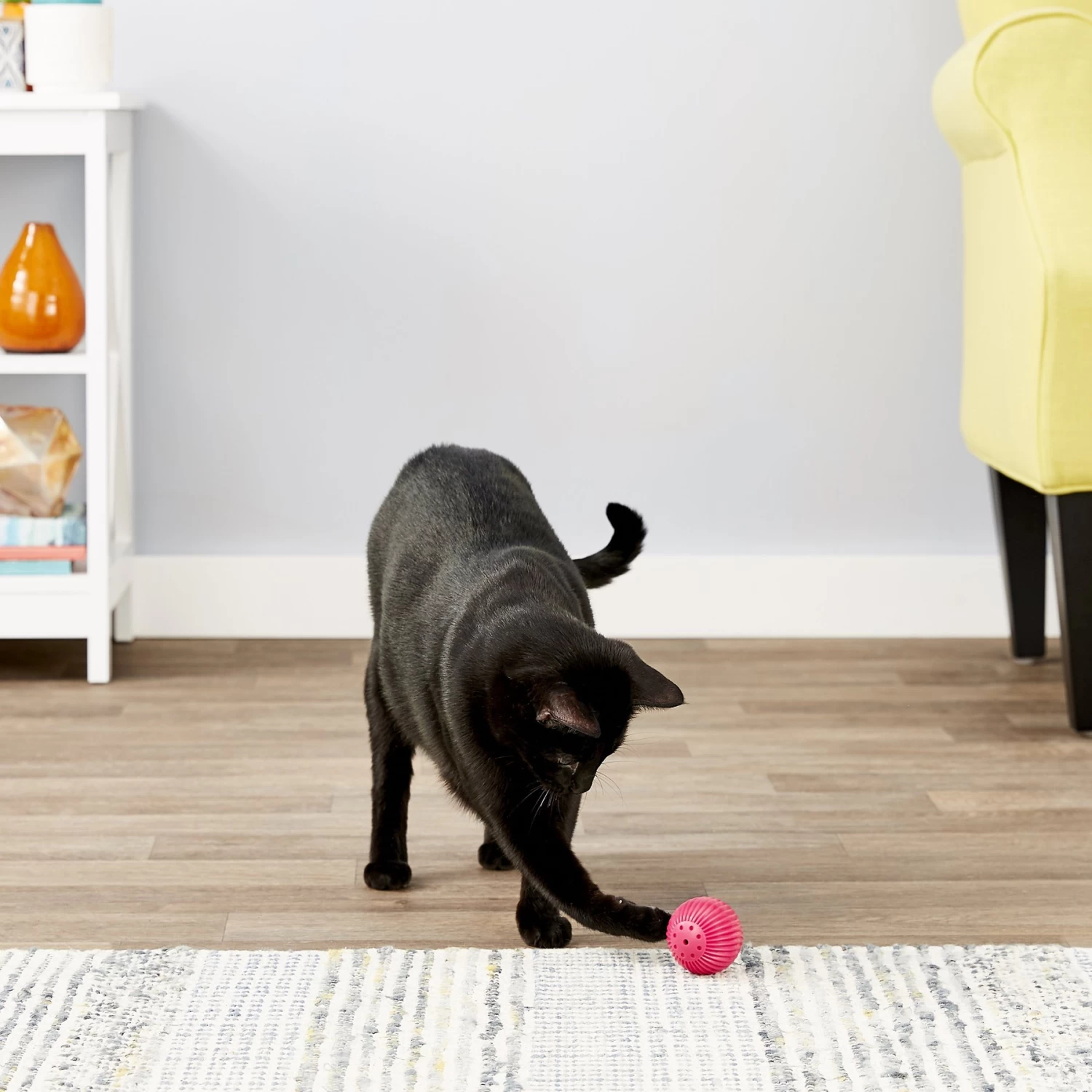 Pet Qwerks Babble Ball Kitten Toy With Catnip 6 Pet Qwerks Babble Ball Kitten Toy With Catnip - Image 4