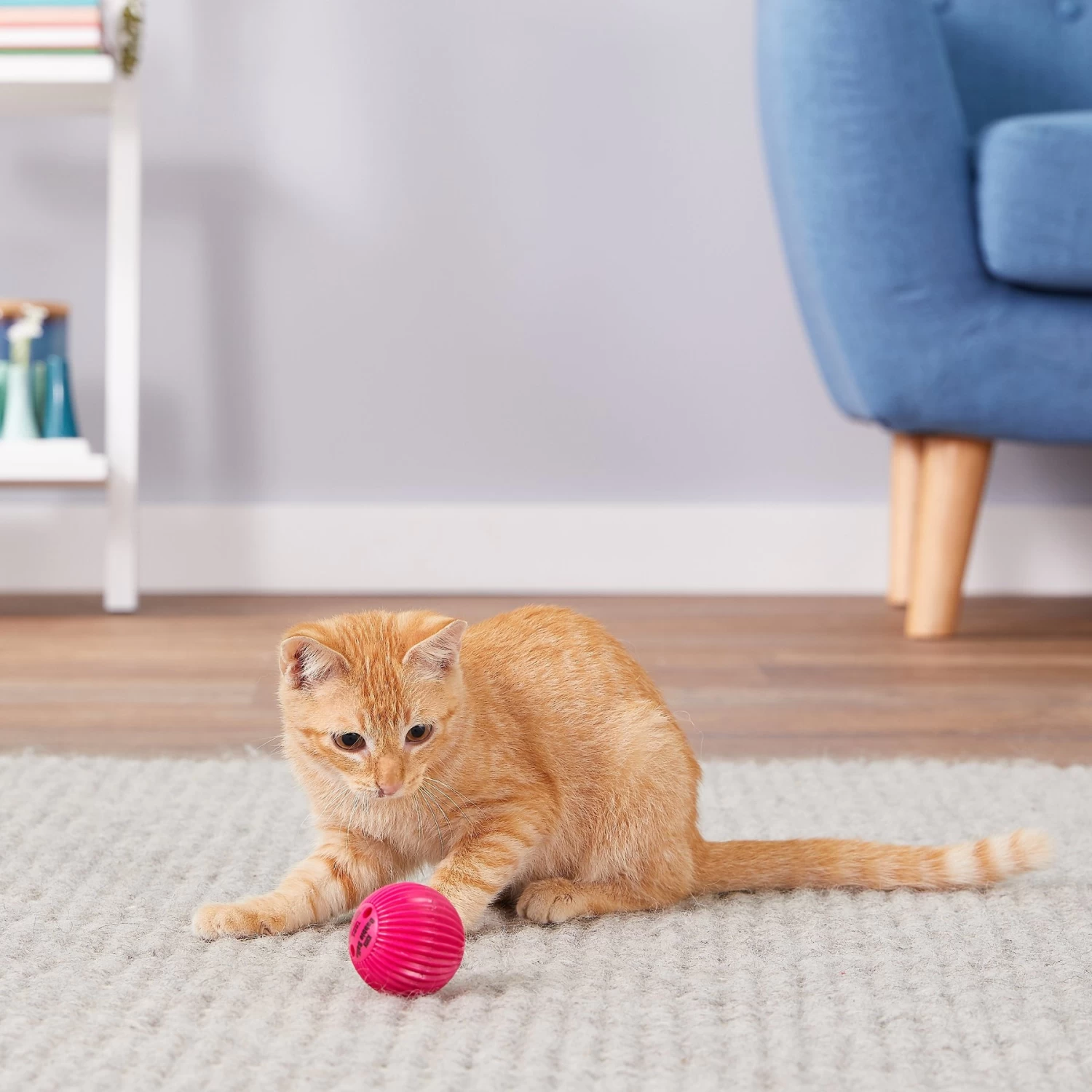 Pet Qwerks Babble Ball Kitten Toy With Catnip 7 Pet Qwerks Babble Ball Kitten Toy With Catnip - Image 5