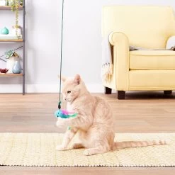 Petlinks Plume Crazy Wand Cat Toy, Color Varies -Cat Products Store 102648 PT3. AC SS1800 V1595364090