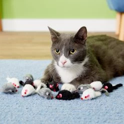 Penn-Plax Purr Pet Bag Of Mice Cat Toy, Color Varies 12 Penn-Plax Purr Pet Bag Of Mice Cat Toy, Color Varies -Cat Products Store 103731 PT2. AC SS1800 V1595370657