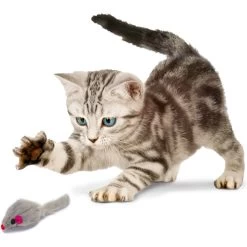 Penn-Plax Purr Pet Bag Of Mice Cat Toy, Color Varies 13 Penn-Plax Purr Pet Bag Of Mice Cat Toy, Color Varies -Cat Products Store 103731 PT3. AC SS1800 V1595365257