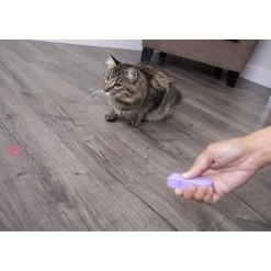 SmartyKat Feline Flash Laser Pointer Cat Toy 9 SmartyKat Feline Flash Laser Pointer Cat Toy -Cat Products Store 107603 PT2. AC SS1800 V1599754693