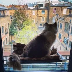 Kitty Cot Original World's Best Cat Perch -Cat Products Store 108559 PT1. AC SS1800 V1568668920