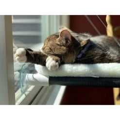 Kitty Cot Original World's Best Cat Perch Giant Replacement Suction Cups -Cat Products Store 108561 PT7. AC SS1800 V1627925775