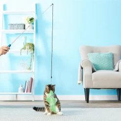 Pet Fit For Life 2 Fish Feather Wand Cat Toy 13 Pet Fit For Life 2 Fish Feather Wand Cat Toy -Cat Products Store 109324 PT2. AC SS1800 V1589320687