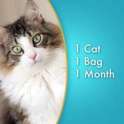 Ultra Pearls Unscented Non-Clumping Crystal Cat Litter -Cat Products Store 110218 PT4. AC SS1800 V1526416354