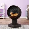 The Refined Feline Kitty Ball Cat Bed -Cat Products Store 111384 MAIN. AC SS1800 V1565383196