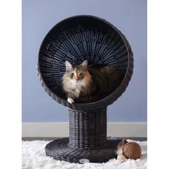 The Refined Feline Kitty Ball Cat Bed -Cat Products Store 111384 PT3. AC SS1800 V1565383153