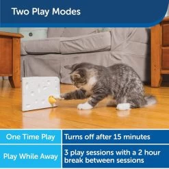 PetSafe Cheese Motion Cat Toy -Cat Products Store 114120 PT3. AC SS1800 V1599813056
