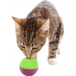 OurPets Play-N-Treat Cat Toy -Cat Products Store 122837 PT3. AC SS1800 V1493912515