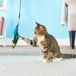 Pet Fit For Life 4 Piece Dual Rod Wand Cat Toy -Cat Products Store 123822 PT2. AC SS1800 V1589320598