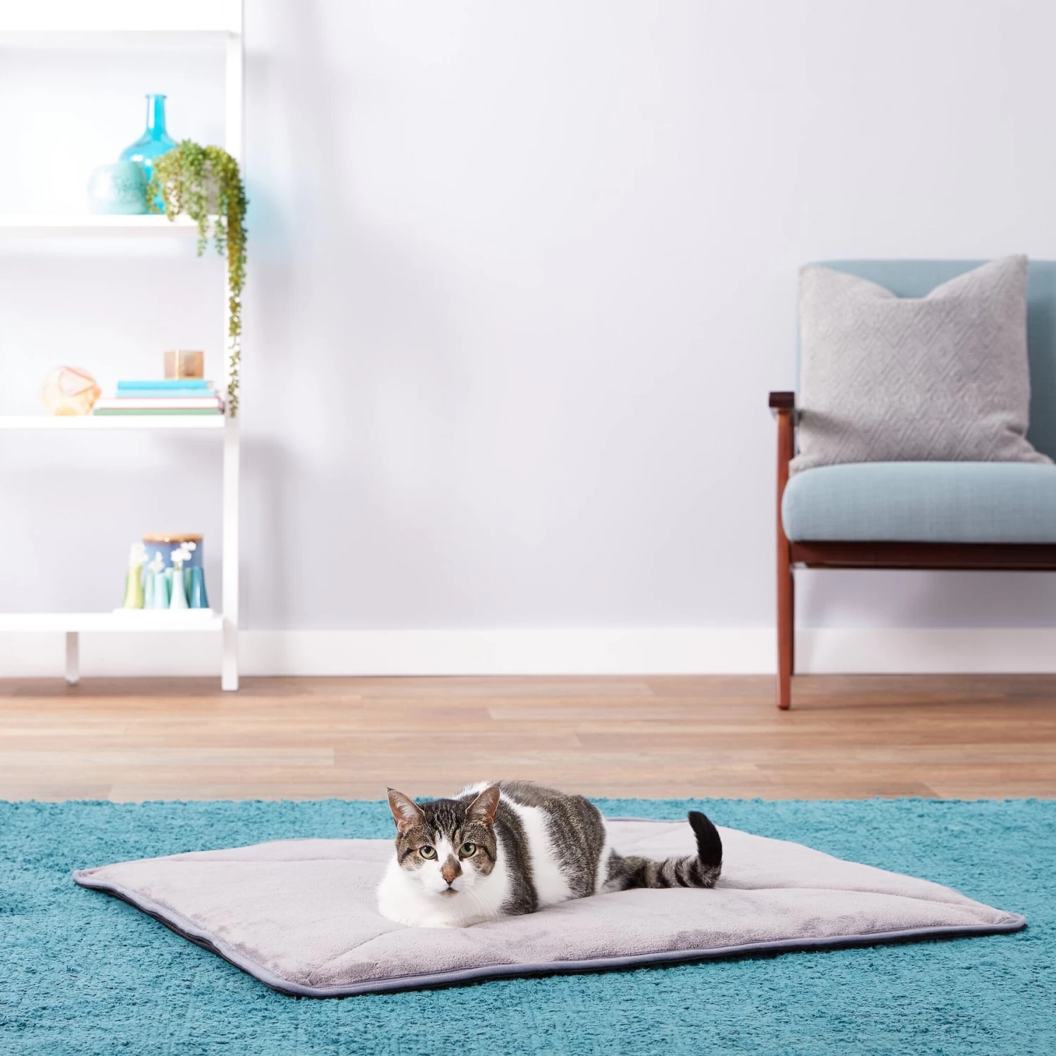 Pet Magasin Thermal Self-Heated Cat Bed, 2-pack 6 Pet Magasin Thermal Self-Heated Cat Bed, 2-pack - Image 4