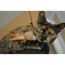 Earthtone Solutions Sisal Wand Mouse Teaser Cat Toy 7 Earthtone Solutions Sisal Wand Mouse Teaser Cat Toy -Cat Products Store 138352 PT2. AC SS1800 V1506376025