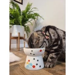 Necoichi Raised Cat Food Bowl, Fuji -Cat Products Store 138931 PT7. AC SS1800 V1649353161