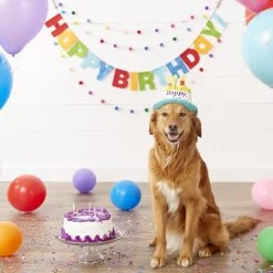 Frisco Birthday Cake Dog & Cat Hat 12 Frisco Birthday Cake Dog & Cat Hat -Cat Products Store 139518 PT4. AC SS1800 V1540422964