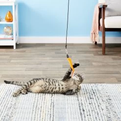 Pet Fit For Life 5 Piece Squiggly Worm Replacement Pack For Wand Cat Toy -Cat Products Store 140076 PT6. AC SS1800 V1545251024