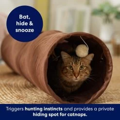 Frisco 35-in Foldable Crinkle Play Tunnel With 1 Window -Cat Products Store 140166 PT3. AC SS1800 V1695670685