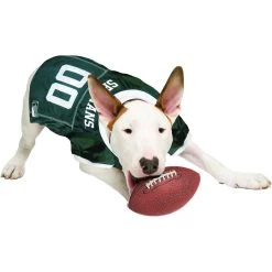 Pets First NCAA Dog & Cat Jersey, Michigan State Spartans -Cat Products Store 142181 PT3. AC SS1800 V1538433426