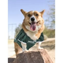 Pets First NCAA Dog & Cat Jersey, Michigan State Spartans -Cat Products Store 142181 PT4. AC SS1800 V1538436040
