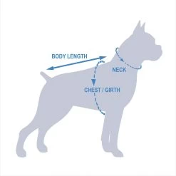 Pets First NCAA Dog & Cat Jersey, Michigan State Spartans -Cat Products Store 142181 PT8. AC SS1800 V1539801799