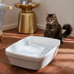 Frisco Summer Clean Scented Non-Clumping Crystal Cat Litter -Cat Products Store 144146 PT4. AC SS1800 V1659023731