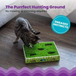 Catstages Grass Patch Hunting Box Cat Scratcher Toy -Cat Products Store 148104 PT2. AC SS1800 V1631679976