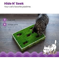Catstages Grass Patch Hunting Box Cat Scratcher Toy -Cat Products Store 148104 PT3. AC SS1800 V1631683023