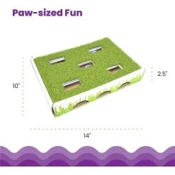 Catstages Grass Patch Hunting Box Cat Scratcher Toy -Cat Products Store 148104 PT4. AC SS1800 V1631685751