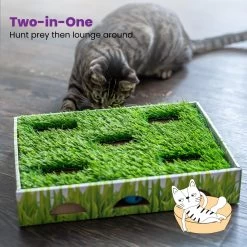Catstages Grass Patch Hunting Box Cat Scratcher Toy -Cat Products Store 148104 PT5. AC SS1800 V1631689013