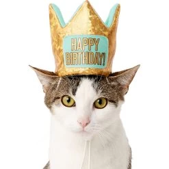 Frisco Happy Birthday Dog & Cat Crown -Cat Products Store 153665 PT2. AC SS1800 V1551230979