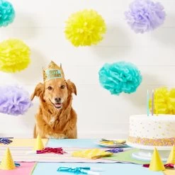 Frisco Happy Birthday Dog & Cat Crown -Cat Products Store 153665 PT5. AC SS1800 V1551231039