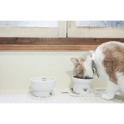 Necoichi Ceramic Elevated Cat Food & Water Bowl Set -Cat Products Store 154902 PT2. AC SS1800 V1542038820