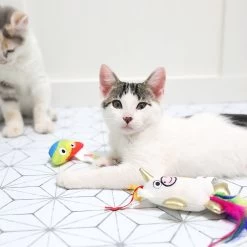 Mad Cat Mewnicorn & Rainbow Poop Catnip & Silvervine Cat Toy -Cat Products Store 157310 PT4. AC SS1800 V1637610991