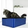 Pet Fit For Life Collapsible Portable Litter Box With Collapsible Bowl -Cat Products Store 159018 MAIN. AC SS1800 V1565285083