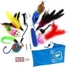 Pet Fit For Life Interactive Wand Teaser, Toys & Storage Bag 8 Piece Bundle Cat Toy -Cat Products Store 159022 MAIN. AC SS1800 V1589321012