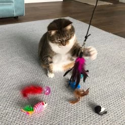 Pet Fit For Life Interactive Wand Teaser, Toys & Storage Bag 8 Piece Bundle Cat Toy 12 Pet Fit For Life Interactive Wand Teaser, Toys & Storage Bag 8 Piece Bundle Cat Toy -Cat Products Store 159022 PT2. AC SS1800 V1589320995