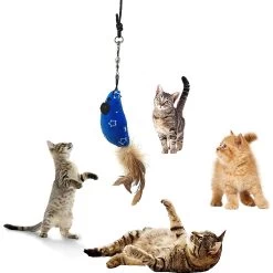 Pet Fit For Life Interactive Wand Teaser, Toys & Storage Bag 8 Piece Bundle Cat Toy 13 Pet Fit For Life Interactive Wand Teaser, Toys & Storage Bag 8 Piece Bundle Cat Toy -Cat Products Store 159022 PT3. AC SS1800 V1589321011