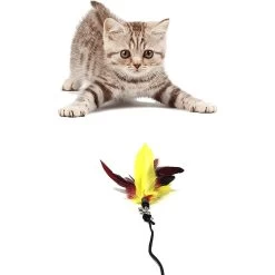 Pet Fit For Life Interactive Wand Teaser, Toys & Storage Bag 8 Piece Bundle Cat Toy 14 Pet Fit For Life Interactive Wand Teaser, Toys & Storage Bag 8 Piece Bundle Cat Toy -Cat Products Store 159022 PT4. AC SS1800 V1589320889