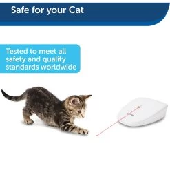 PetSafe Laser Tail Laser Cat Toy -Cat Products Store 159065 PT6. AC SS1800 V1599844269
