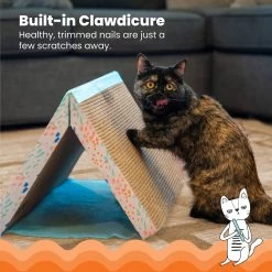 Catstages Fold Away Cat Tunnel Toy -Cat Products Store 159439 PT2. AC SS1800 V1636522026