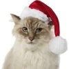 Frisco Holiday Dog & Cat Santa Hat, 1 Count -Cat Products Store 160054 MAIN. AC SS1800 V1663948847