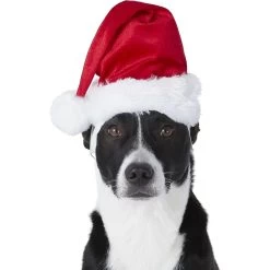 Frisco Holiday Dog & Cat Santa Hat, 1 Count -Cat Products Store 160054 PT2. AC SS1800 V1669100718