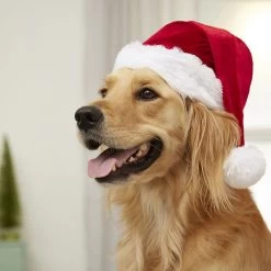 Frisco Holiday Dog & Cat Santa Hat, 1 Count -Cat Products Store 160054 PT4. AC SS1800 V1637650626