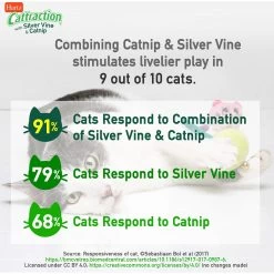 Hartz Cattraction Silver Vine & Catnip Gator Cat Scratcher Toy, Color Varies -Cat Products Store 161051 PT5. AC SS1800 V1637163150