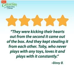 Hartz Cattraction Silver Vine & Catnip Gator Cat Scratcher Toy, Color Varies -Cat Products Store 161051 PT6. AC SS1800 V1637163178