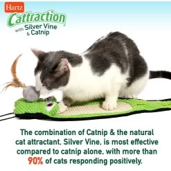 Hartz Cattraction Silver Vine & Catnip Gator Cat Scratcher Toy, Color Varies -Cat Products Store 161051 PT7. AC SS1800 V1637163140