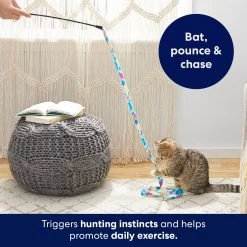 Frisco Fabric Teaser Wand Cat Toy 8 Frisco Fabric Teaser Wand Cat Toy -Cat Products Store 161196 PT5. AC SS1800 V1691783969