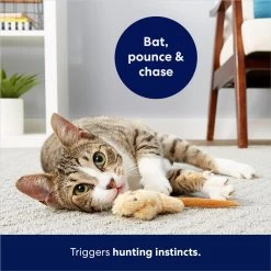 Frisco Skinny Mouse Plush Cat Toy With Catnip -Cat Products Store 161268 PT5. AC SS1800 V1686578718